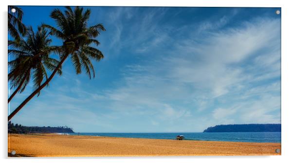 An isolated beach found in Goa, India Acrylic by Arpan Bhatia