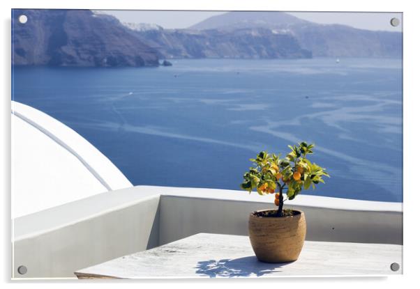 Santorini, Greece: A pot with flower or plant and a plate on a wooden table against beautiful sea ocean background Acrylic by Arpan Bhatia