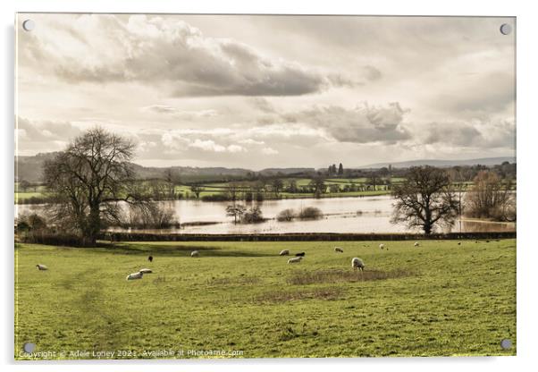 Floods at Lugg Meadows, Hereford Acrylic by Adele Loney