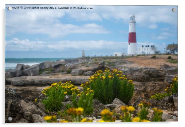 Flowers at Portland Bill Lighthouse Acrylic by Christopher Keeley