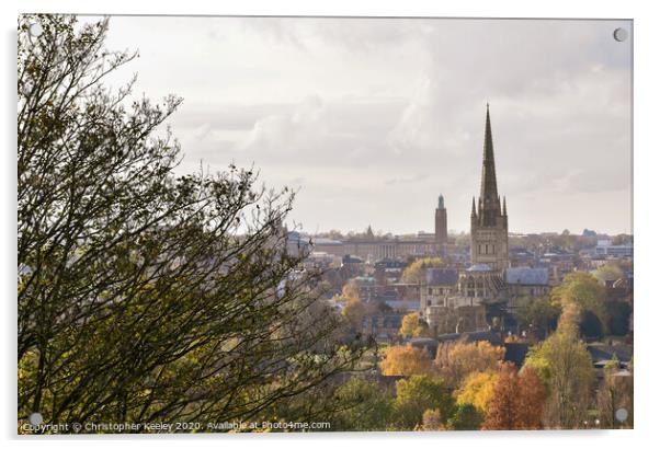 Norwich views  Acrylic by Christopher Keeley