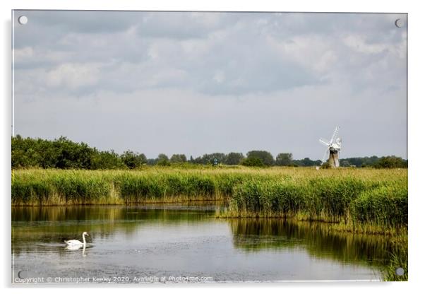 Swan on the Broads Acrylic by Christopher Keeley