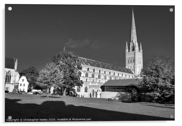 Norwich Cathedral Acrylic by Christopher Keeley