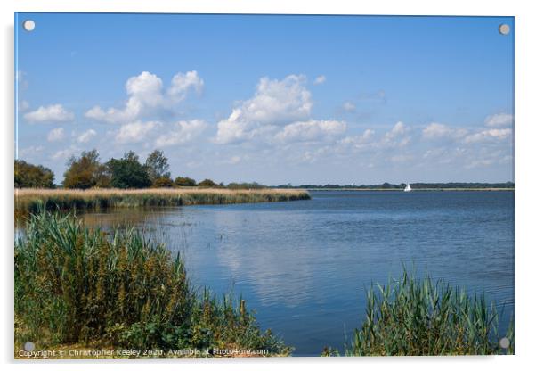 Horsey Mere Acrylic by Christopher Keeley
