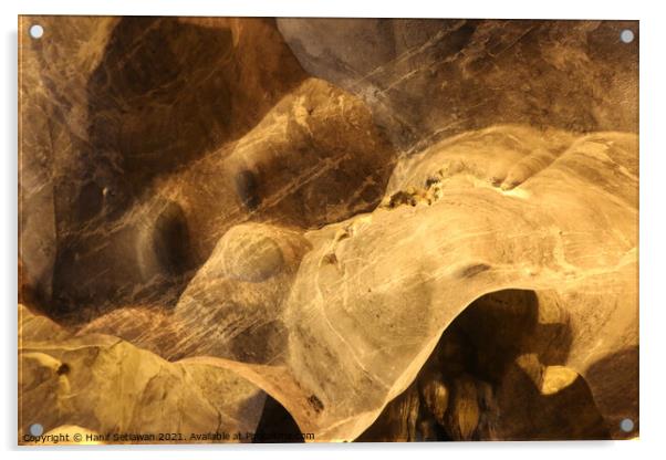 Abstract shapes of a dog snout on cave wall Acrylic by Hanif Setiawan