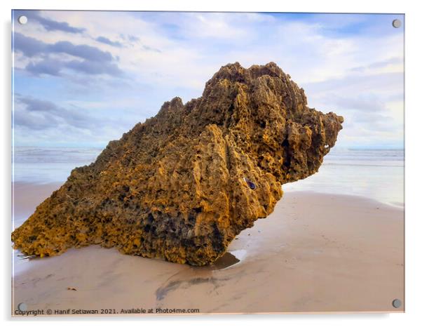 Rocky bird sitting on sand beach and looks to the  Acrylic by Hanif Setiawan