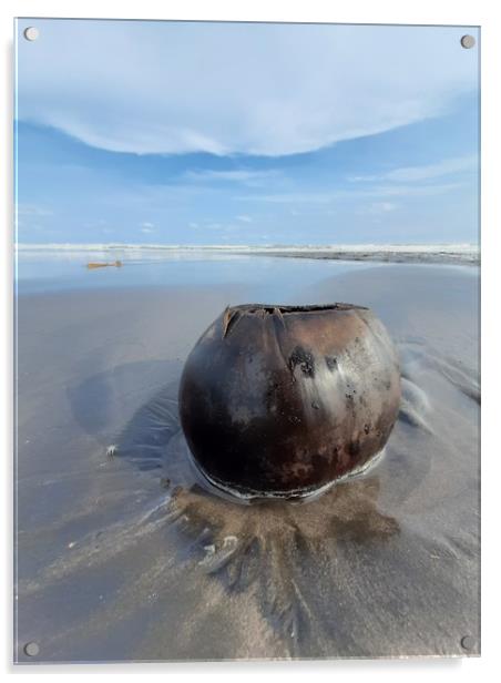Coconut on sand beach Acrylic by Hanif Setiawan