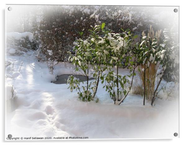 Fresh snow with deep foot prints in sunny garden Acrylic by Hanif Setiawan