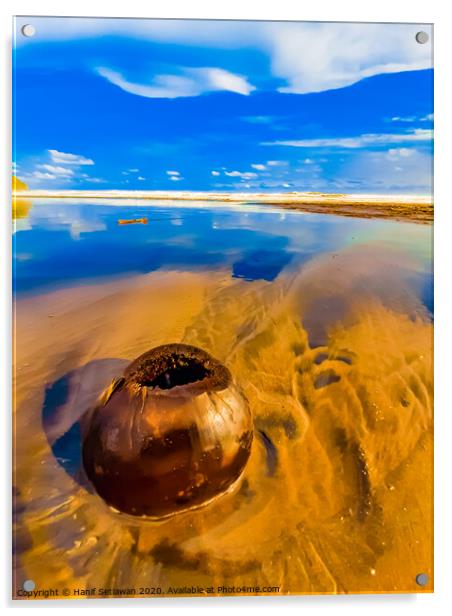 Coconut on sand beach 1 Acrylic by Hanif Setiawan