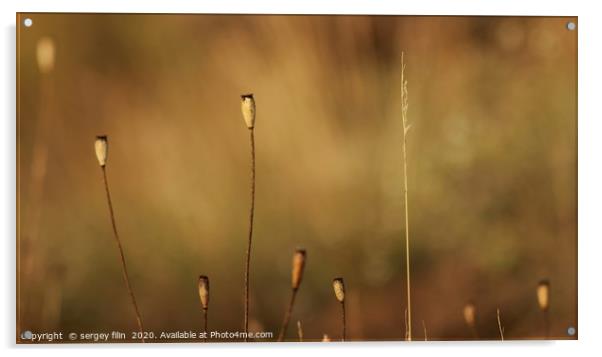  Minimalism in nature. Acrylic by sergey filin