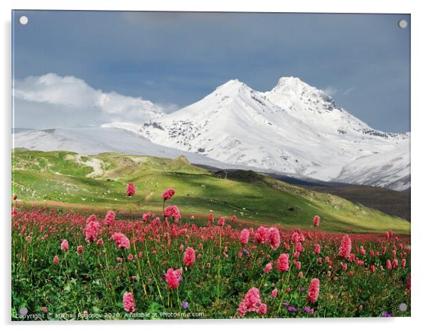 Mountains of the Caucasus Acrylic by Mikhail Pogosov