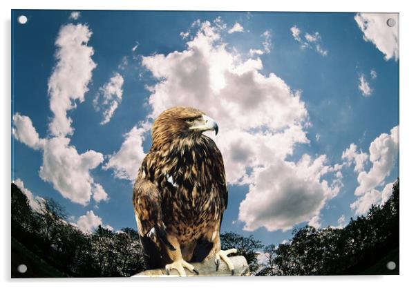 Mountain eagle. Acrylic by Mikhail Pogosov