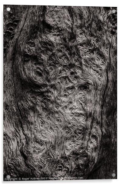 Swirling tree patterns Acrylic by Roger Aubrey