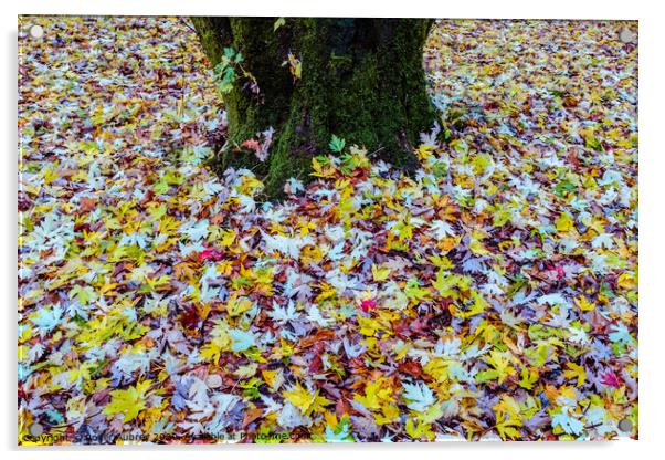 Autumn leaves carpet Acrylic by Roger Aubrey