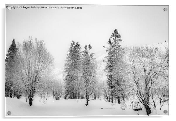 Snow covered trees, Norway Acrylic by Roger Aubrey