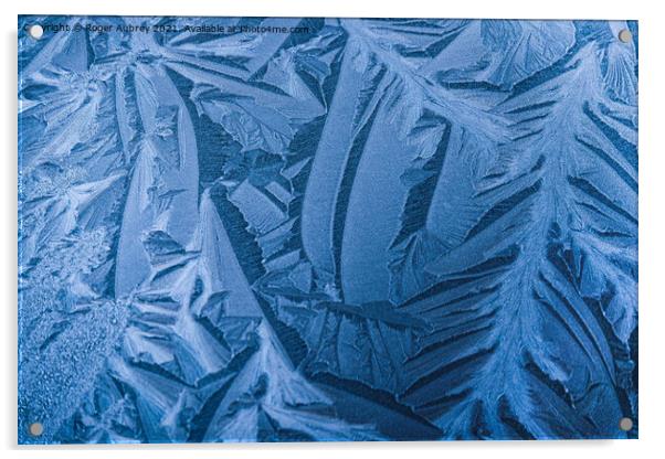 Ice pattern  Acrylic by Roger Aubrey