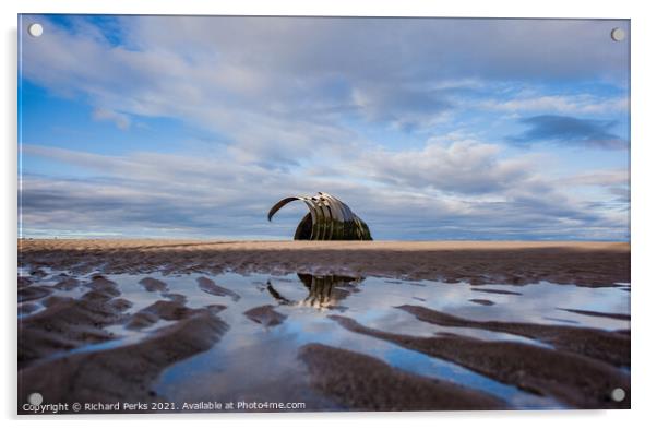 Mary`s shell reflections Acrylic by Richard Perks