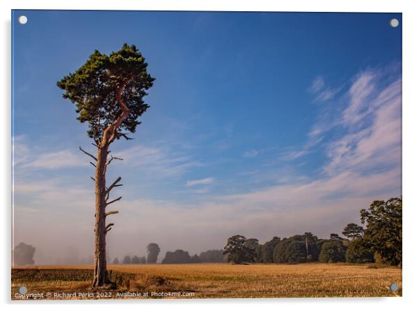 Lonesome  Yorkshire tree Acrylic by Richard Perks