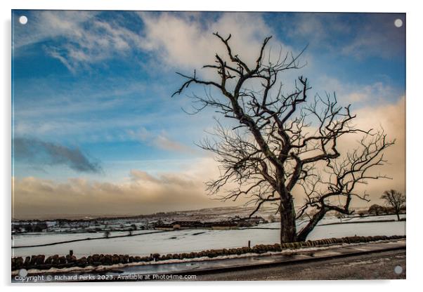Winter Tree in the Yorkshire Landscape Acrylic by Richard Perks