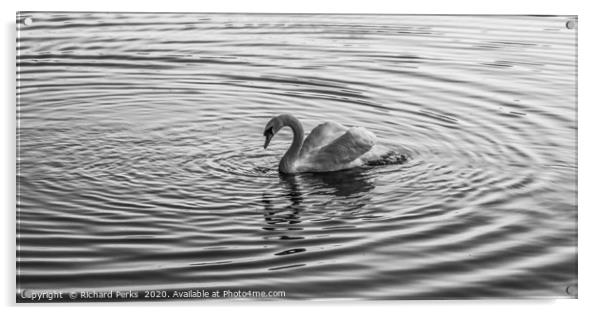 Swan Lake Acrylic by Richard Perks
