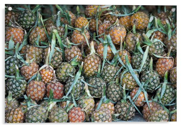 THAILAND CHIANG RAI MARKET FRUITS PINEAPLE Acrylic by urs flueeler