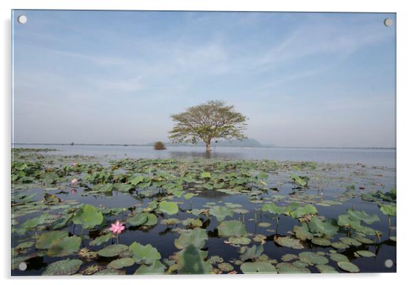 CAMBODIA BATTAMBANG KAMPING POUY LAKE Acrylic by urs flueeler