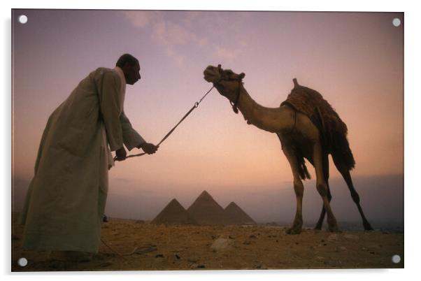 AFRICA EGYPT CAIRO GIZA PYRAMIDS Acrylic by urs flueeler