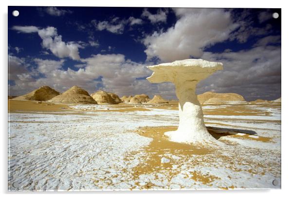 AFRICA EGYPT SAHARA FARAFRA WHITE DESERT  Acrylic by urs flueeler