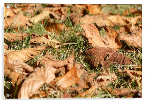 Dead leaves on grass Acrylic by aurélie le moigne