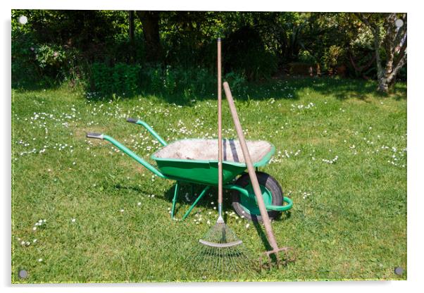 Wheelbarrow with lawn rake and claw cultivator Acrylic by aurélie le moigne
