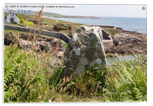 Stone on the coast in Brittany Acrylic by aurélie le moigne
