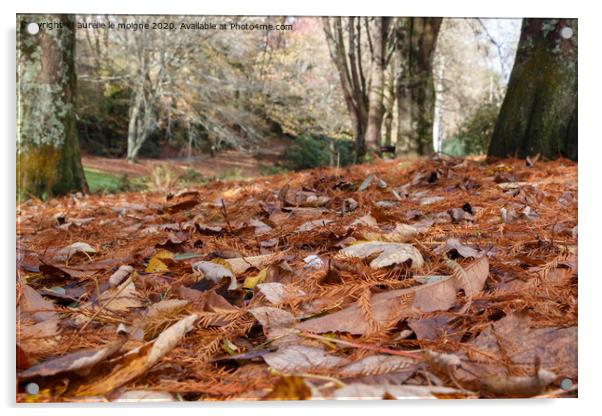 Dead leaves in a forest Acrylic by aurélie le moigne