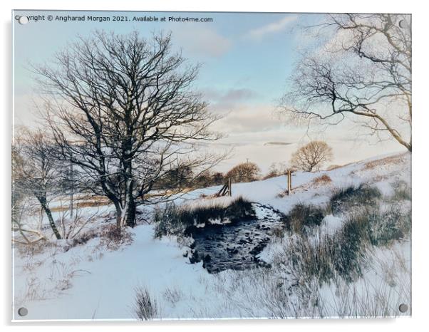 Winter landscape Acrylic by Angharad Morgan