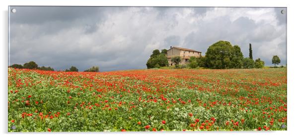 Poppies field around a rural country house in Cata Acrylic by Pere Sanz