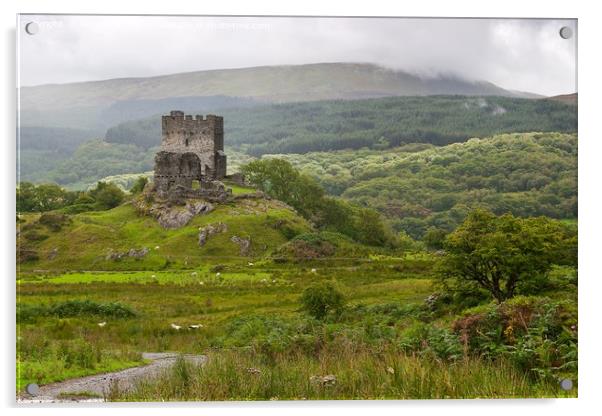 dolwyddelan  castle in Snowdonia,  wales  Acrylic by Pere Sanz
