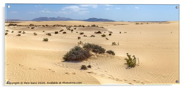 Corralejo Dunes with Volcanic Mountains in the Baclground in Fuerteventura, Canary Islands Acrylic by Pere Sanz
