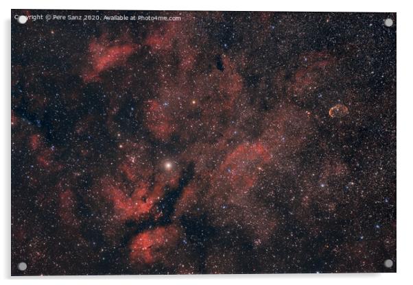 Red Nebulosity arroud Sadr in the Constellation of Cygnus Acrylic by Pere Sanz