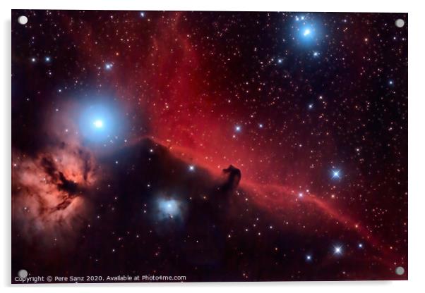 Horsehead Nebula and Flaming Tree  in the Constellation Orion Acrylic by Pere Sanz