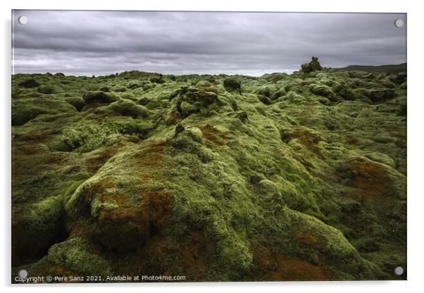 Eldhraun Lava Field in Iceland Acrylic by Pere Sanz