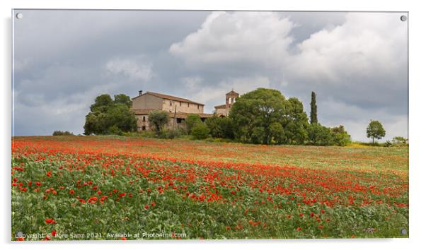 Poppies field around a rural country house in Catalonia Acrylic by Pere Sanz