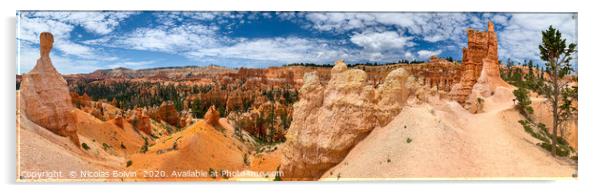 Bryce Canyon National Park Acrylic by Nicolas Boivin