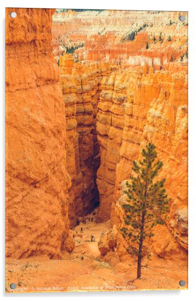 Bryce Canyon National Park Acrylic by Nicolas Boivin