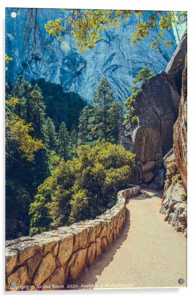 Yosemite National Park Acrylic by Nicolas Boivin