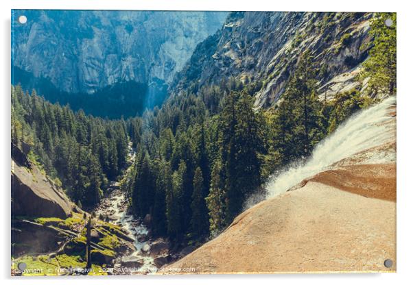 Yosemite National Park Acrylic by Nicolas Boivin