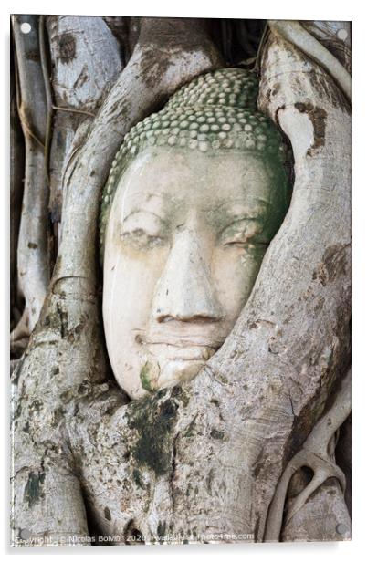 Head of sandstone Buddha in the tree roots Acrylic by Nicolas Boivin