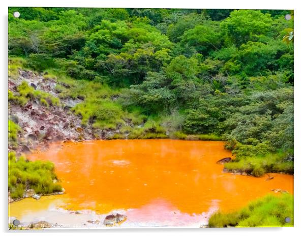 Boiling mud pot in Rincon de la Vieja national par Acrylic by Nicolas Boivin