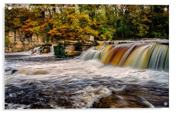 Autumnal Richmond Falls Acrylic by Kevin Winter
