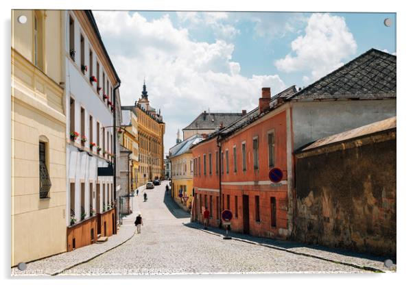 Olomouc old town in Czech Republic Acrylic by Sanga Park