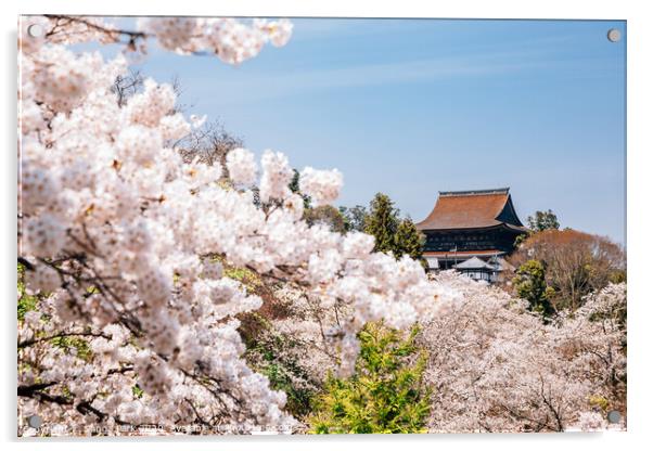 Yoshino mountain with cherry blossoms Acrylic by Sanga Park