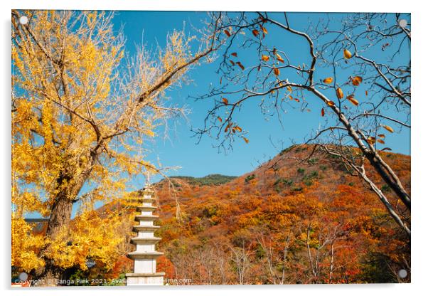 Korean old temple and autumn mountain Acrylic by Sanga Park